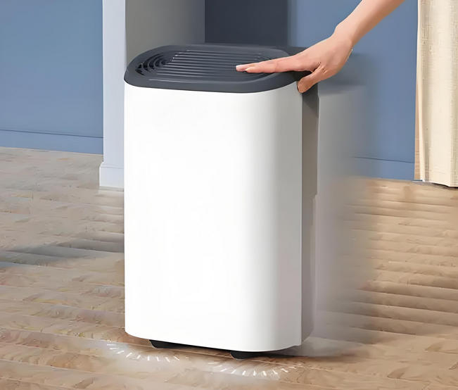 家用小型除濕機(jī)方案開(kāi)發(fā)