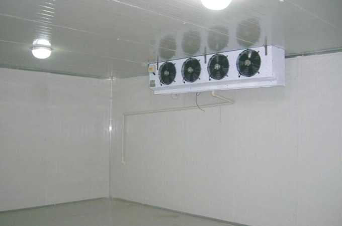 建造一個果蔬保鮮冷庫需要多少錢？