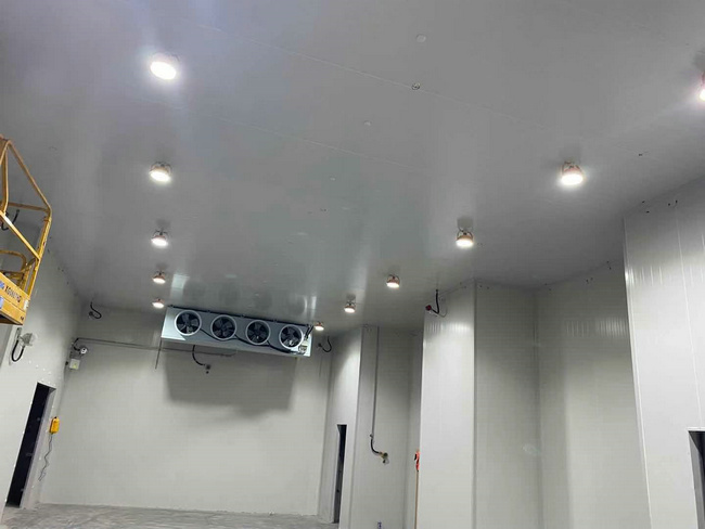 建個存放10噸貨物的冷庫大概需要多少錢?